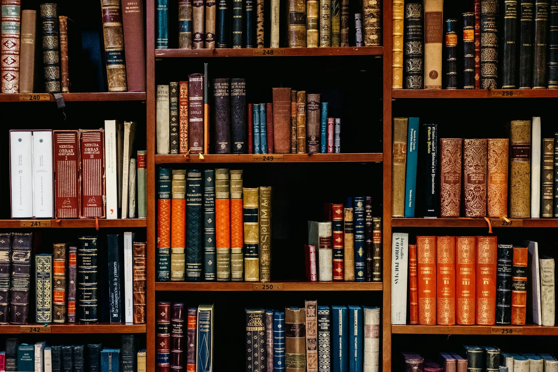 Library stacks receding into shadow